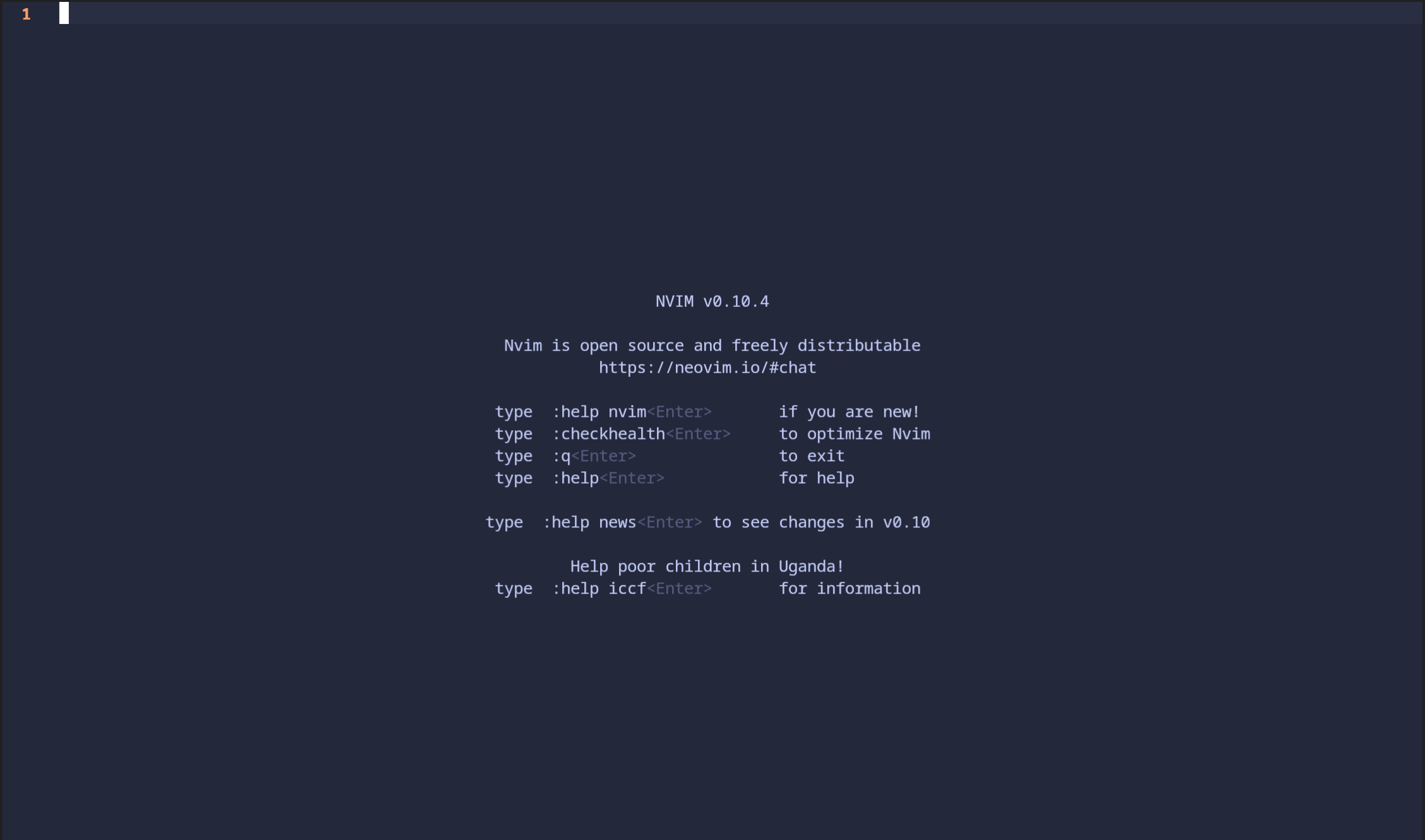 nvim initialized